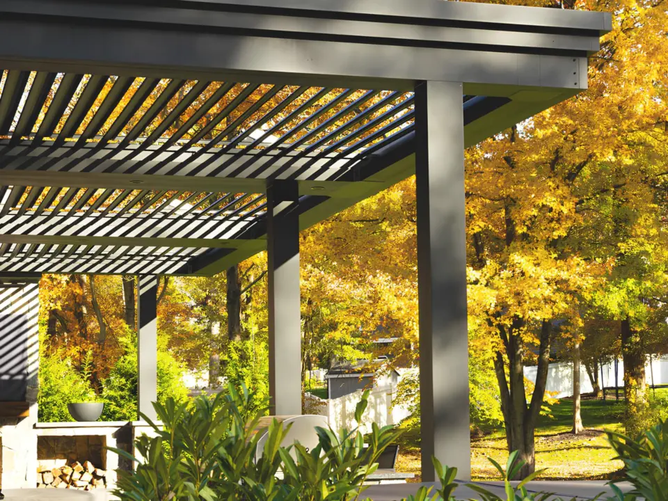 dark-metal-cabana-featuring-dry-season-trees-on-the-background